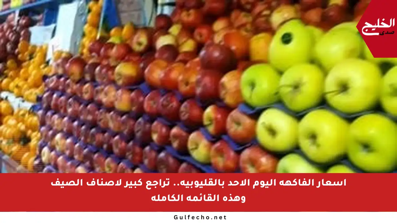 أسعار الفاكهة اليوم الأحد بالقليوبية.. تراجع كبير لأصناف الصيف وهذه القائمة الكاملة